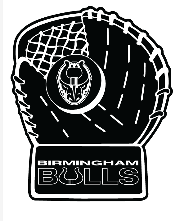 Birmingham Bulls - Birmingham Bulls American Football Club